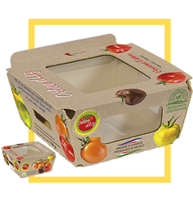 DELICE DELIZ