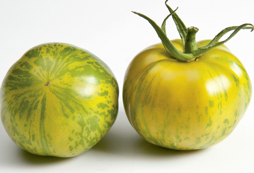 Tomates Gourmet
