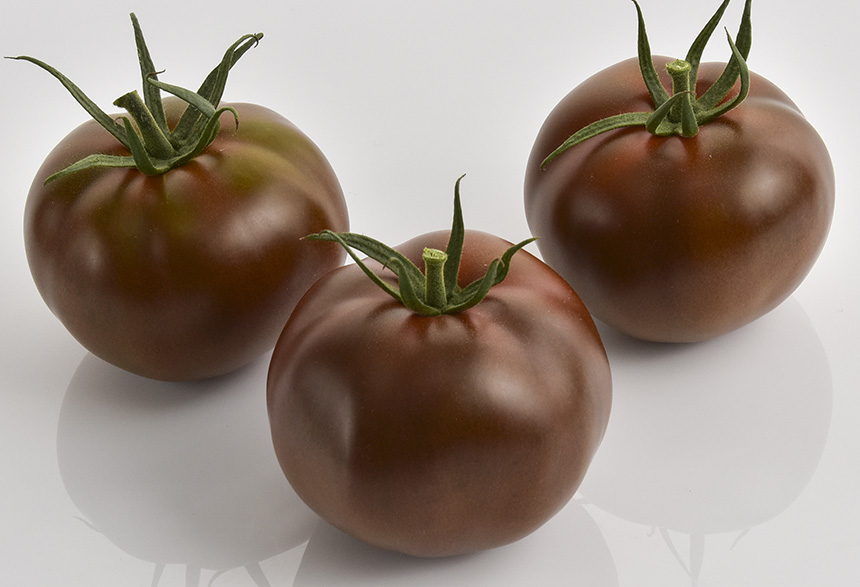 tomates gourmet